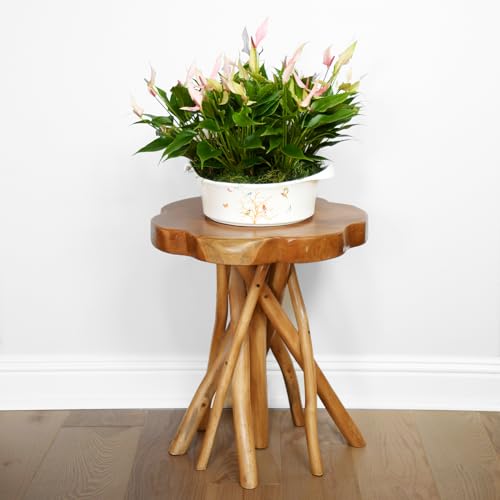 WELLAND Solid Teak Live Edge End Table,18" L x 18" W x 20" H Uniquie Side Table, Small Accent Table, Plant Stand for Living Room, Bedroom, Home Office WELLAND Solid Teak Live Edge End Table,18" L x 18" W x 20" H Uniquie Side Table, Small Accent Table, Plant Stand for Living Room, Bedroom, Home Office