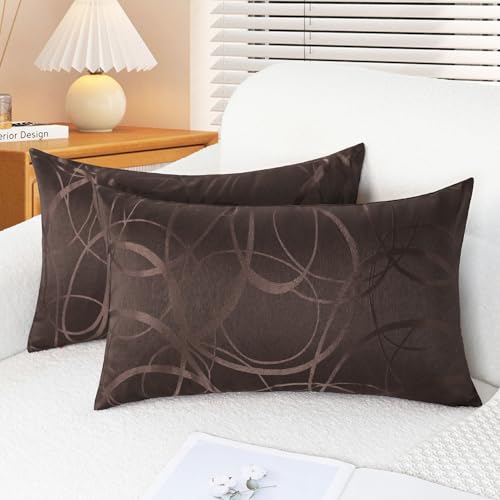 CaliTime Throw Pillow Covers Pack of 2 Modern Shining & Dull Contrast Circles Rings Accent Geometric Cushion Cases Shells for Couch Sofa Home Decor 12 X 20 Inches Coffee