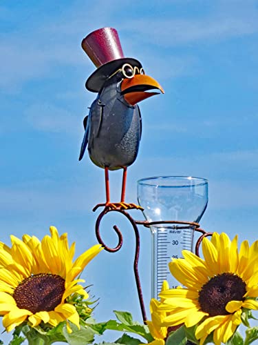 Pommerntraum ® | Regenmesser Pluviometer Niederschlagsmesser Herr Prof....