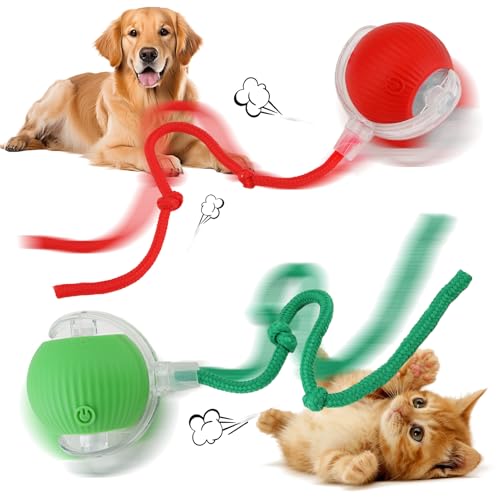 QarulG 2PCS Interactive Dog Cat Ball Smart Self Moving Rolling Ball Toy with Tail for Indoor Small Dogs Cats Pet 360 Automatic Electric USB Rechargeable Active Play and Chase Red Green
