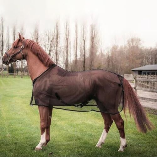 Ropa ligera para caballos transpirable con correas de ajuste seguro 8