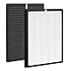 2 Stück Ersatzfilter Kompatibel mit Philips Luftreinigern 1000 & 1000i, HEPA Filter für AC1214/10 & AC2729/10, Ersatzfilter FY1410/30 und FY1413/30 (1 HEPA-Filter + 1 Aktivkohlefilter)