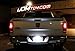 iJDMTOY Angle Tilt'able 24-SMD Bolt-On LED Lamps Compatible With License Plate Lights or Backup Reverse Lights, Xenon White