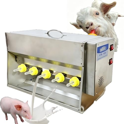 Comedero de leche para lechones para alimentar con leche y pienso en granjas