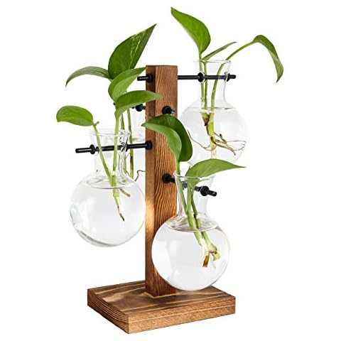 PAG Plant Terrariums Kit with Solid Wood Stand Cover