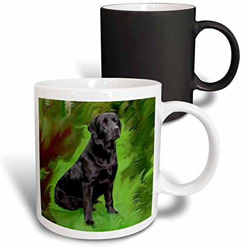 3dRose Dogs Labrador Retriever - Black 11oz Magic Transforming Mug