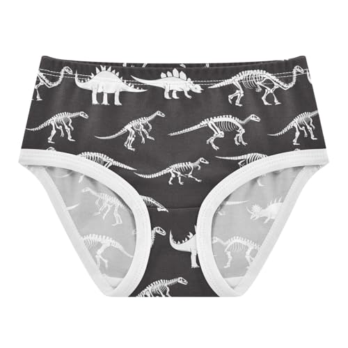 Wusikd Dinosaur Girls' Underwear Cotton Girls Briefs Soft Toddler Underwear 2T