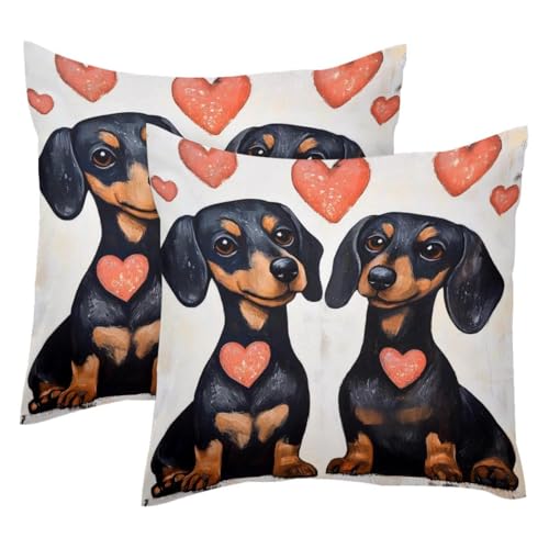 Housse de coussin velours double face haut de gamme 50x50cm