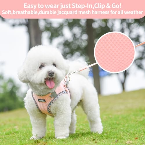AIITLE Kleines Hundegeschirr, Katzengeschirr mit Leine, einstellbares Hundegeschirr mit Schnellverschluss, reflektierende Weste für extra kleine Hunde und Hauskatzen Rosa XXS