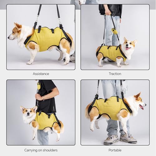 Arnés de elevación para perros mayores con absorción de impactos y soporte ortopédico 8