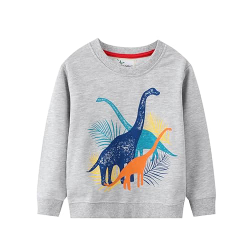 Boys Sweatshirts Casual Sweatshirts Cotton Sweatshirts Long Sleeve T-shirts Crew Neck Cartoon Tops for Boys-736
