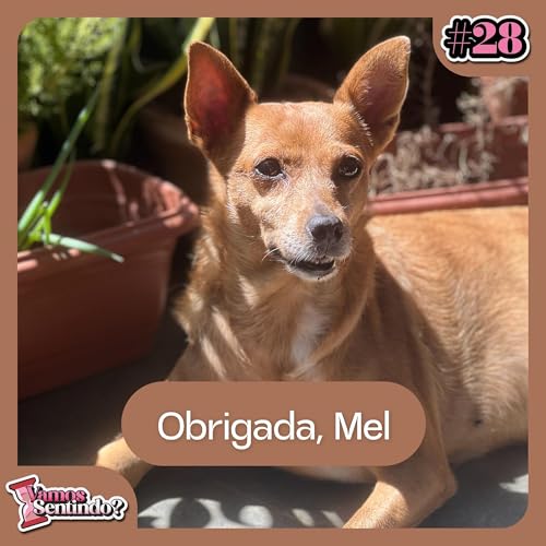 Quando a saudade te ensina | #28