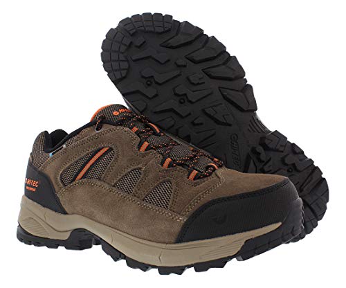 HI-TEC Men's Ridge Low Waterproof I Brown Ankle-High Leather Hiking Shoe - 8 M2