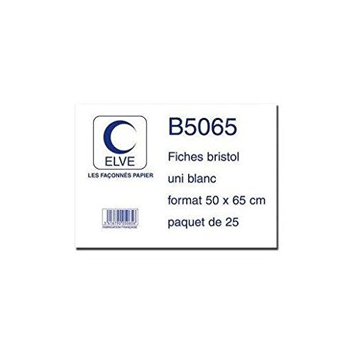 Fiches bristol ELVE pour réussir vos révisions et présentations en 50x65cm