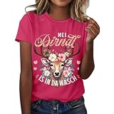Sudadera Gris Lisa con Capucha Polo Fucsia Gris Lencero Playa Ciclismo Femenina Puntilla Multicolor Gotica Abiertas Transparencias Americanos Fin Gorro Gato Bolsillos Borrega Sweatshirts