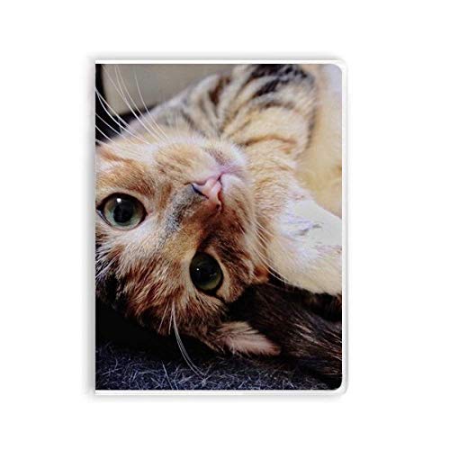 Carnet à couverture souple motif chat rayures cahier de notes A5