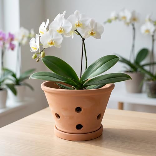 Pots d'orchidées en argile avec trous pour rempotage intérieur - 6