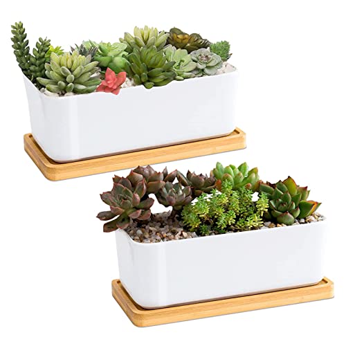 Fegalop 2 macetas suculentas de cerámica blanca, rectangulares, maceta de cerámica moderna, para cactus, plantas grandes, con platillo de madera, interior o exterior (rectangular X2) Cover