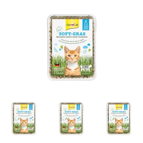 GimCat Soft Hierba - Tierna Hierba para Gatos Rica en vitaminas, de Crecimiento rápido en Solamente 5 a 8 días - 1 Bandeja (1 x 100 g) (Paquete de 4)