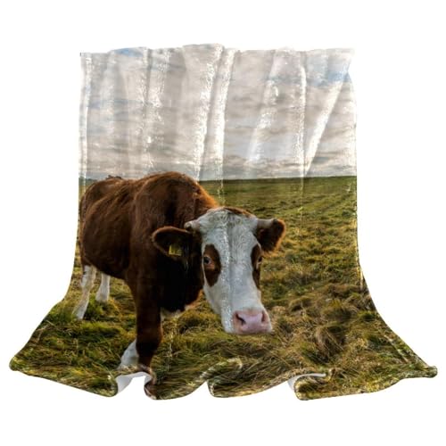 Couverture polaire douce plaid chaud isolant lits et canapés - 2