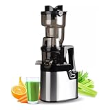 Slow Masticating Juicer, 250W Stainless Steel Slow Cold Press Juicer Machine with 100mm Large Feed Chute for Vegetables and Fruit - OHCL2023S_Intexca