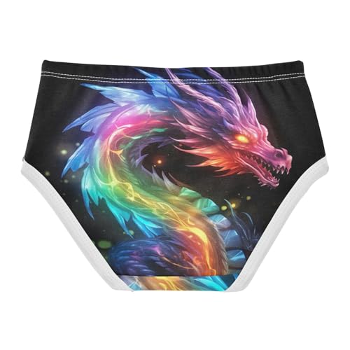 Color Flame Dragon Toddler Girls's Underwear 2T 202a05402