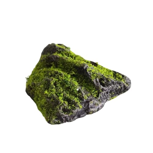 Pierres décoratives de qualité supérieure pour intérieur chic et terrarium