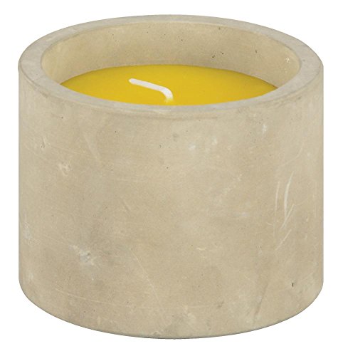 Fallen Fruits FF255 - Vela, color gris