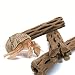 SunGrow 3 Hermit Crab Woods, Chew Toy and Source of Nutrition, Fun and Stimulating Activity for Little Climbers, Keep Hermies Busy & More Active, Long Dried Aquarium Décor Adds Raw Beauty