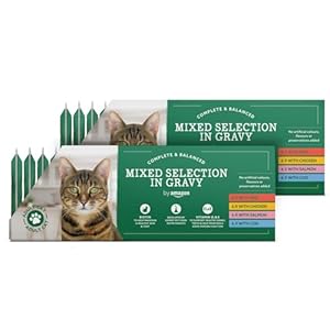 by Amazon Complete Food for Adult Cats, Gravy Mixed Selection, 4.8 kg (48 Packs of 100g)
