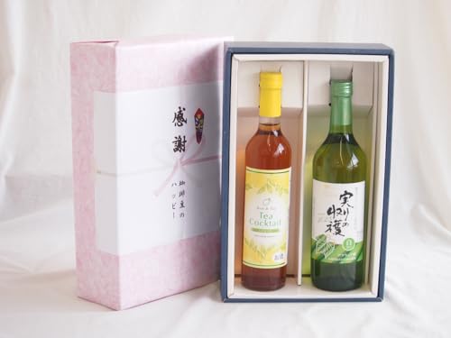 ӂ̑蕨{bNX gJNeƍYCZbg(̎n ÌC Ì(R)720mleB[JNe 500ml