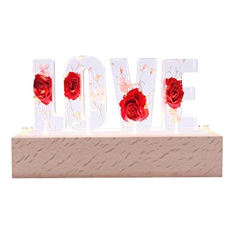 Luz nocturna Seahelms LED con flor seca y carga USB Cover