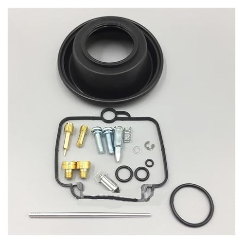 Kit réparation carburateur BST40 pour DR350 et Goose350 premium