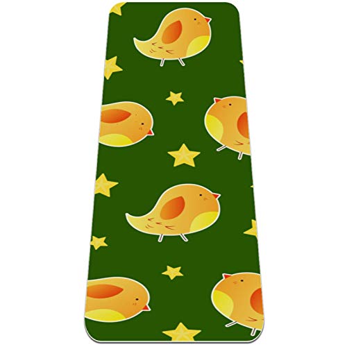 BestIdeas Yogamatte mit niedlichem Baby-Kanarienvogel für Yoga, Pilates, Bodenübung für Männer, Frauen, Mädchen, Jungen, Kinder, Anfänger, rutschfestes Design BestIdeas Yogamatte mit niedlichem Baby-Kanarienvogel für Yoga, Pilates, Bodenübung für Männer, Frauen, Mädchen, Jungen, Kinder, Anfänger, rutschfestes Design