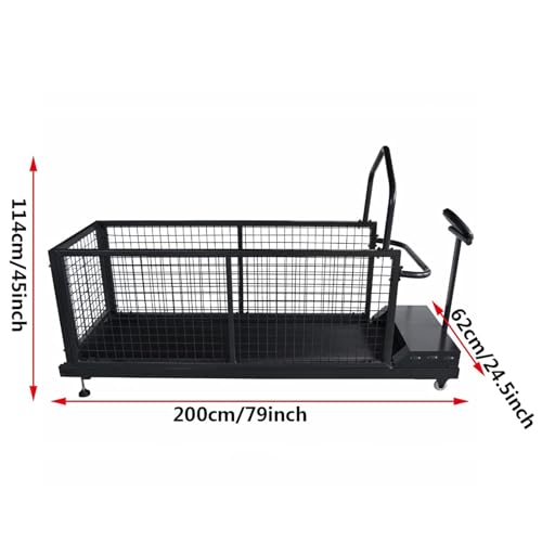 Large Dog Treadmill LED Display
