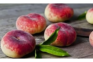 5 Pcs Seeds Donut Peaches: Rare & Delightful Giant Japanese Fruit