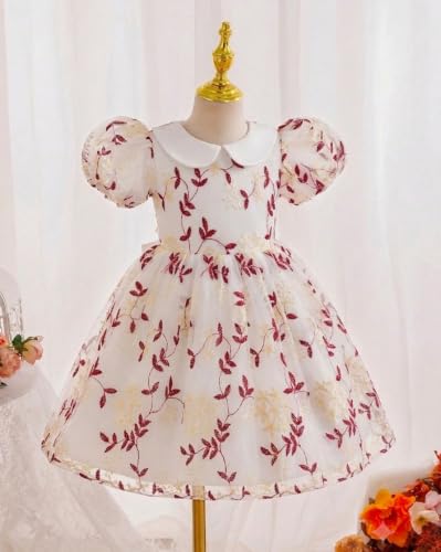 Image of TAGAS Girls Floral Embroidered Party Dress | Puff Sleeve Peter Pan Collar Frock | Elegant Net Princess Dress for Baby Girls | Birthday, Wedding, Ages 2-7 Years | Blue /Red