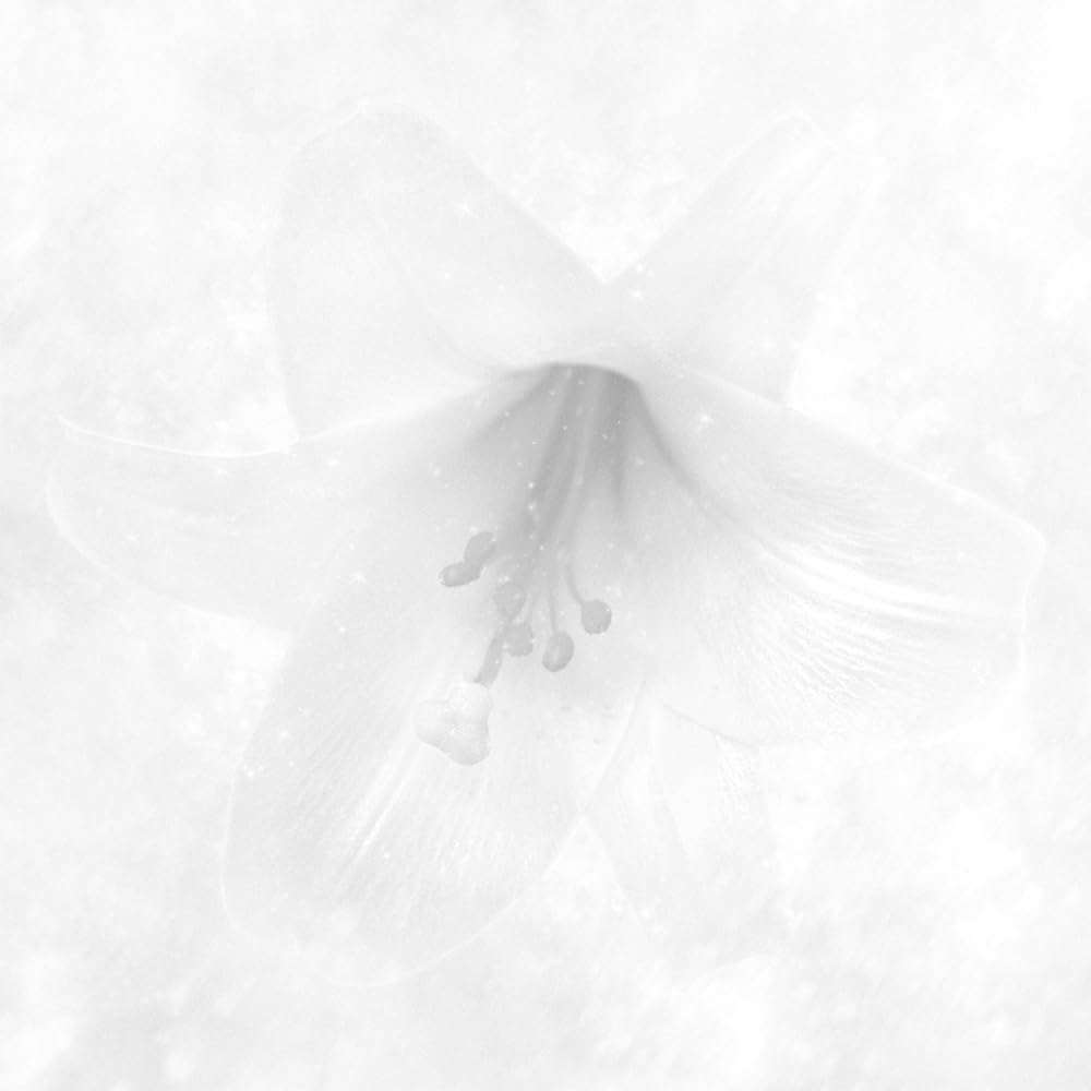 Amazon.co.jp: White: ミュージック