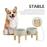 Havniva Keramik-Höhenverstellbares Doppel-Schalen-Set mit Ständer 15,5 cm – 2 gehobene Höhen, Futter- und Wasser-Schalen für Kleine Hunderassen, Gewichtete Haustier-Schalen (850 ml, Grau)