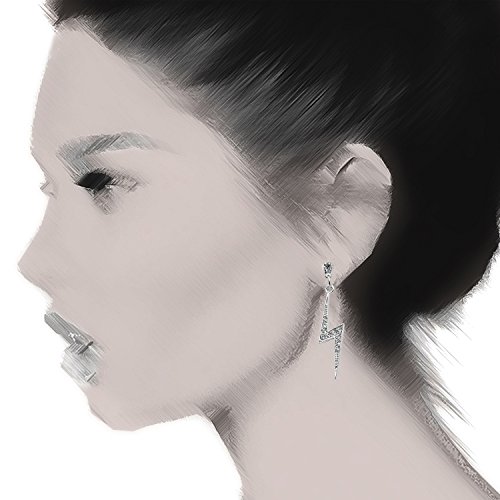 Spinningdaisy Silver Plated Crystal Lightning Bolt Earrings4