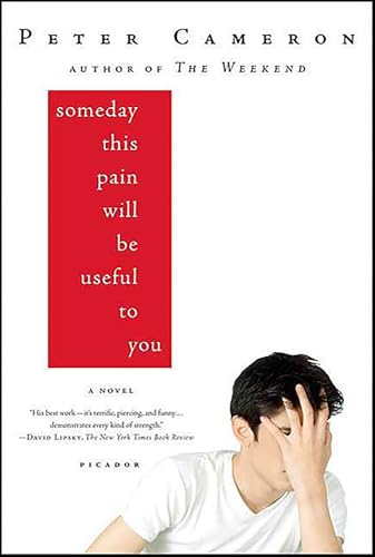 Someday This Pain Will Be Useful to You: A Novel
