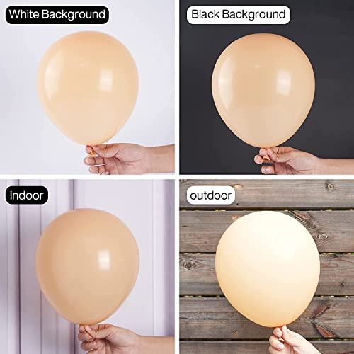 Image of Retro Cream Beige Balloon Kit 50 pcs for Birthday,Anniversary, Welcome Baby, Baby Shower, Aesthetic Boho Theme Party Decoration