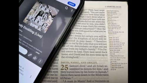 The House of David : A Curiosity Series | 1 Samuel 25 - 31 | Bible Body Doubling (Live)