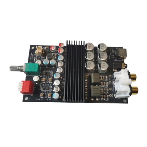 Amplificateur double canal 120W + 120W à technologie digitale avec alimentation DC 12V-32V