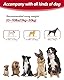 WANFIRE Freihandleinen Hundeleine, Joggingleine Hunde, Lange Hundeleine mit Autosicherheitsgurt und doppelseitigen reflektierenden Nähten für mittelgroße und große Hunde zum Spazierengehen (Schwarz)