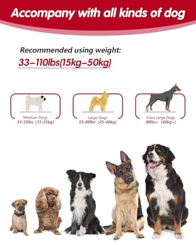 WANFIRE Freihandleinen Hundeleine, Joggingleine Hunde, Lange Hundeleine mit Autosicherheitsgurt und doppelseitigen reflektierenden Nähten für mittelgroße und große Hunde zum Spazierengehen (Schwarz)