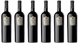  6x +7 Priorato DOCa Bio 2012 - Bodegas Pinord, Priorat - Rotwein