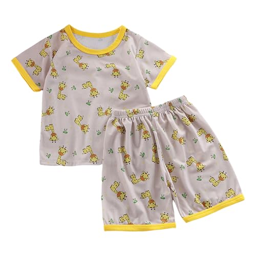 [Cousannory] pW} LbY OJ   q ZbgAbv ㉺Zbg [EFA n[tpc iCgEFA  c    Q QԒ ʉ ʊw lC i   풅  m(