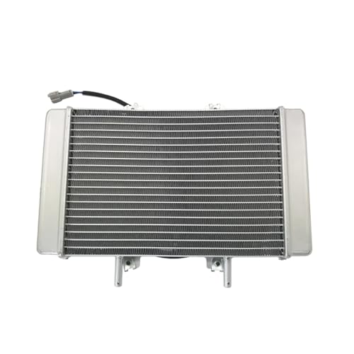 WG[^[it@td[^[AZutjB-yang Feishen 300cc D300 G300 ATVNbhɓK i