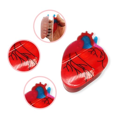 Pinza para cabello diseño corazón anatómico miniatura 7